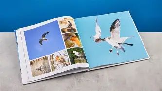 I Switched to the Chatbooks Photo Book and Here is What Happened